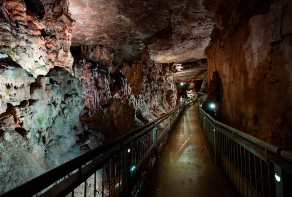 Vista del interior, con techos y paredes de la cueva